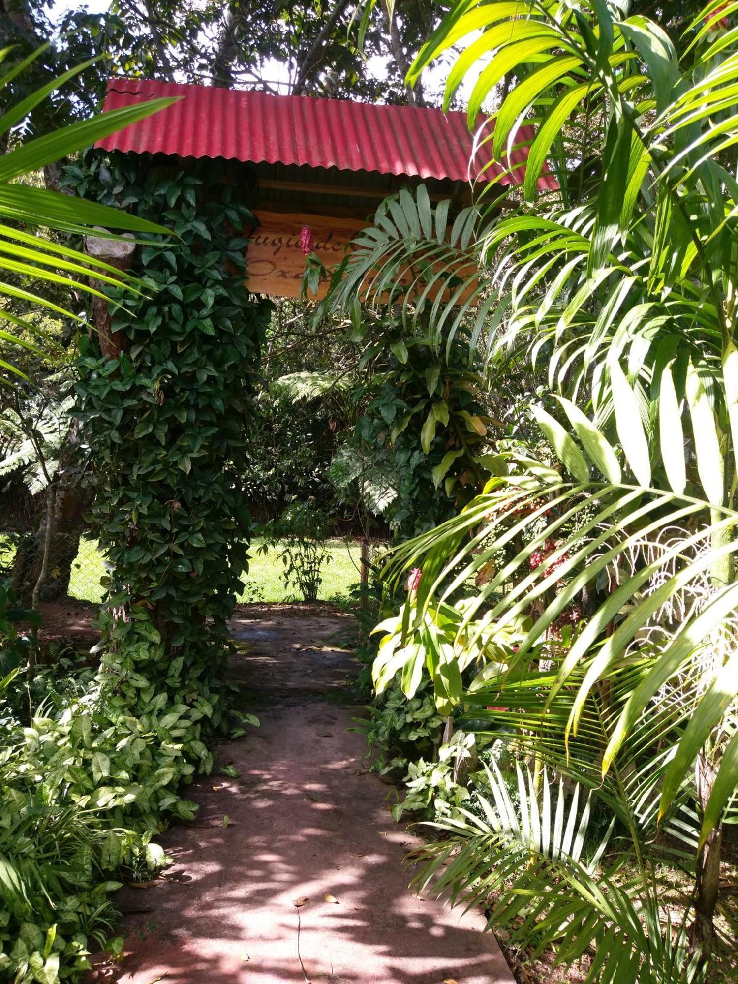 Refugio De Orquideas Villa Oxapampa Exterior photo
